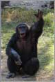 Ramat Gan zoo
