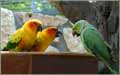 Haifa zoo