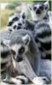Zoo in Haifa, Israel