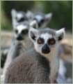 Zoo in Haifa, Israel