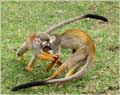 Zoo in Kyriat-Motzkin, Israel